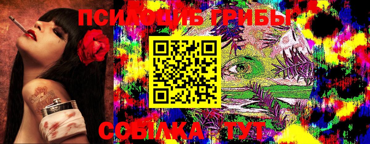 Псилоцибиновые грибы Psilocybe  Вход с VPN  Минусинск 