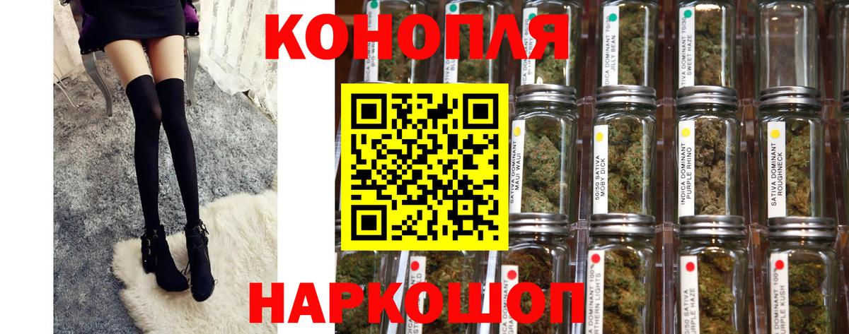 Шишки марихуана планчик Минусинск